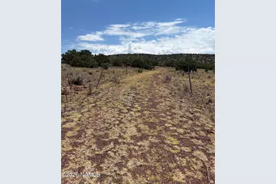 11371 Howard Mesa Loop, Williams, AZ 86046 - Photo 8