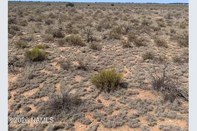 752 S Dewey Drive, Williams, AZ 86046 - Photo 6