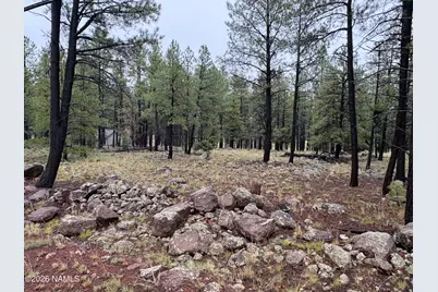 787 S Friar Tuck Trail, Williams, AZ 86046 - Photo 2