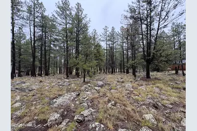 787 S Friar Tuck Trail, Williams, AZ 86046 - Photo 4
