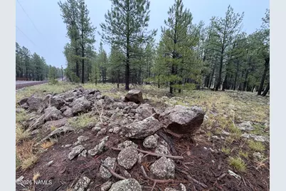 787 S Friar Tuck Trail, Williams, AZ 86046 - Photo 6