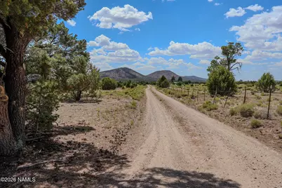 6203 N Whiskey River Road, Williams, AZ 86046 - Photo 30