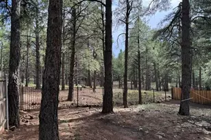 347 W Wulfenite Rd, Flagstaff, AZ 86005 - Photo 38