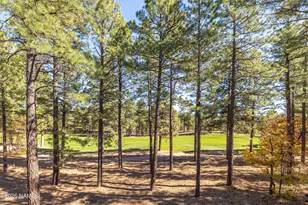 4180 S Lariat Loop, Flagstaff, AZ 86005 - Photo 8
