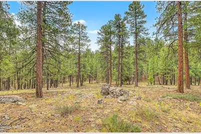 3567 W Kiltie Loop, Flagstaff, AZ 86005 - Photo 40