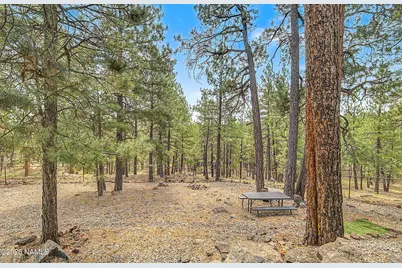 3567 W Kiltie Loop, Flagstaff, AZ 86005 - Photo 8