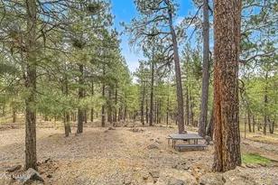 3567 W Kiltie Loop, Flagstaff, AZ 86005 - Photo 8