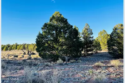 5390 N Windy Walk Way, Williams, AZ 86046 - Photo 12