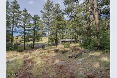 220 Lake View Drive, Mormon Lake, AZ 86038 - Photo 22