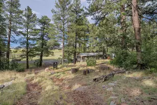 220 Lk Vw Dr, Mormon Lake, AZ 86038 - Photo 22