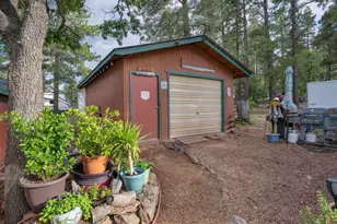 220 Lk Vw Dr, Mormon Lake, AZ 86038 - Photo 28