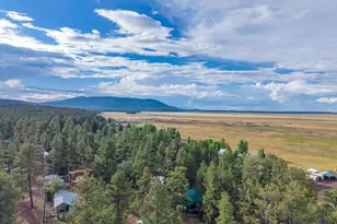 220 Lk Vw Dr, Mormon Lake, AZ 86038 - Photo 34