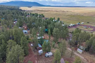 220 Lk Vw Dr, Mormon Lake, AZ 86038 - Photo 38