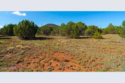 1173 E Tamarack Street, Williams, AZ 86046 - Photo 6