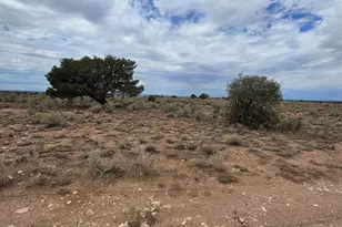 851 E Taylor Rd, Williams, AZ 86046 - Photo 1