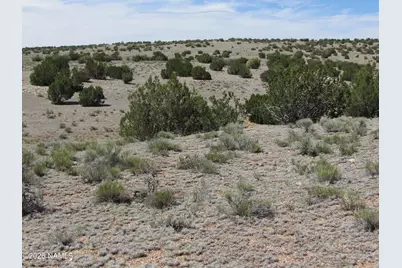 10197 W High Butte Drive, Williams, AZ 86046 - Photo 2