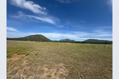 Lot 36 N Spring Valley Road, Parks, AZ 86018 - Photo 1