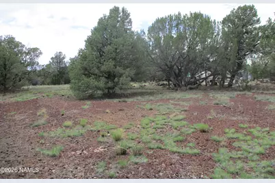 1237 E Alimos Way, Williams, AZ 86046 - Photo 4