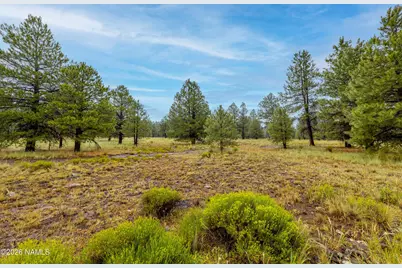 4230 Alpine Drive, Bellemont, AZ 86015 - Photo 34
