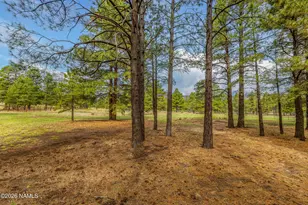7080 Oakwood Pines Dr, Flagstaff, AZ 86004 - Photo 56