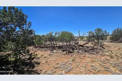 2226 Watchtower Pass, Williams, AZ 86046 - Photo 8