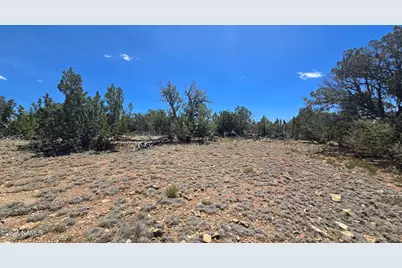 2226 Watchtower Pass, Williams, AZ 86046 - Photo 10