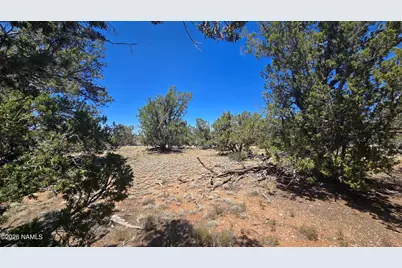 2226 Watchtower Pass, Williams, AZ 86046 - Photo 14