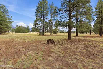 6314 E Burris Lane, Flagstaff, AZ 86004 - Photo 6