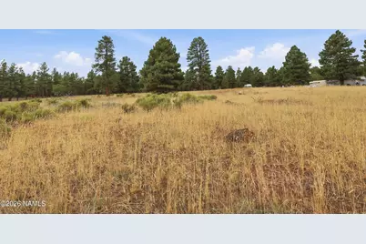6314 E Burris Lane, Flagstaff, AZ 86004 - Photo 10