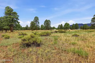 6314 E Burris Ln, Flagstaff, AZ 86004 - Photo 1
