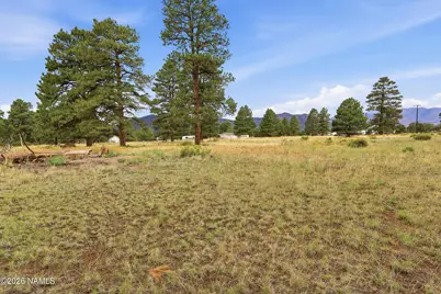 6314 E Burris Lane, Flagstaff, AZ 86004 - Photo 2