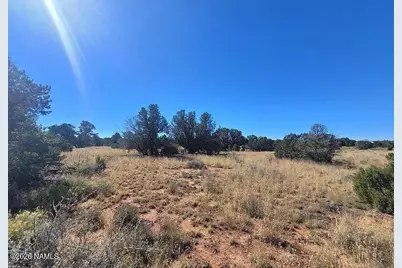 2340 S Hollyhock Lane, Williams, AZ 86046 - Photo 4