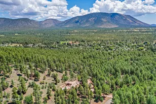 1520 W Tolchaco Rd, Flagstaff, AZ 86001 - Photo 12