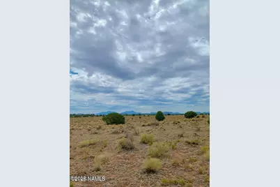 3153 E Judy Drive, Williams, AZ 86046 - Photo 8