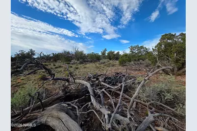2097 Watchtower Pass, Williams, AZ 86046 - Photo 16