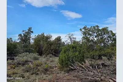 2097 Watchtower Pass, Williams, AZ 86046 - Photo 14