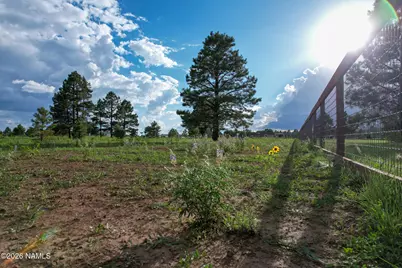 12339 E Old Route 66, Parks, AZ 86018 - Photo 14