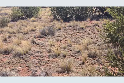 3711 E Wingfield Road, Williams, AZ 86046 - Photo 6