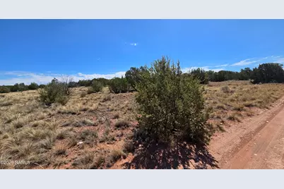 3711 E Wingfield Road, Williams, AZ 86046 - Photo 12