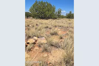 3711 E Wingfield Road, Williams, AZ 86046 - Photo 16