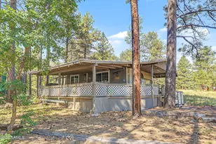 204 Oak Dr, Mormon Lake, AZ 86038 - Photo 2