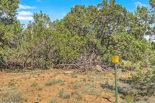 10095 Buckskin Ct, Flagstaff, AZ 86004 - Photo 52