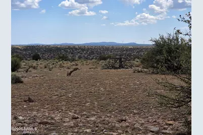 5864 W Blue Star Trl Lot C, Williams, AZ 86046 - Photo 12