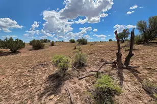 5864 W Blue Star Trl Lot C, Williams, AZ 86046 - Photo 1