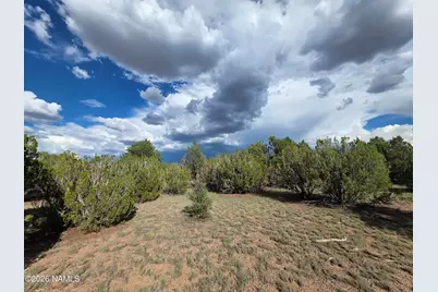 2870 E Forest Service Road 736, Williams, AZ 86046 - Photo 4