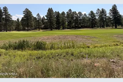 707 S Torrey Pines Drive #182, Williams, AZ 86046 - Photo 2