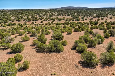 9123 S Lariat Rd Lot C, Williams, AZ 86046 - Photo 2