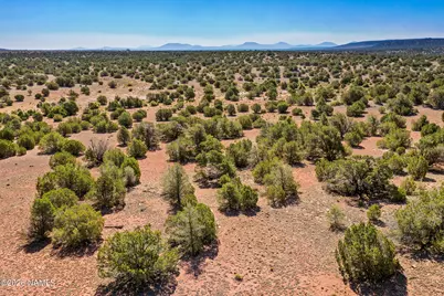 9123 S Lariat Rd Lot C, Williams, AZ 86046 - Photo 4