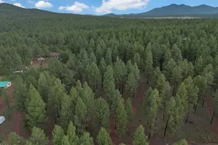7329 E Long Bow Dr, Williams, AZ 86046 - Photo 34