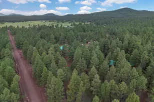 7329 E Long Bow Dr, Williams, AZ 86046 - Photo 36